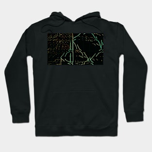 Neon Reflection Hoodie